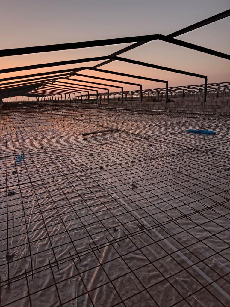 بناء مزارع دواجن متكاملة في جدة: من الحلم إلى الإنتاج مع ديار أمجاد للمقاولات